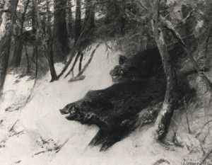 Zwei Keiler In Der Rauschzeit Im Winterwald