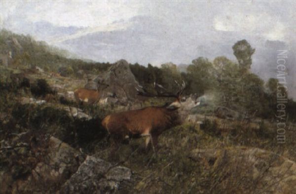 A Stag Roaring In A Mountainous Landscape - view 1