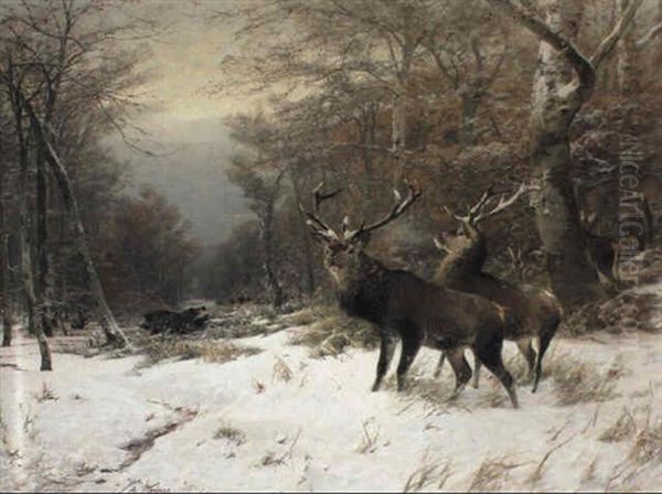 Deer And Wild Boar In A Wooded Winter Landscape - view 1