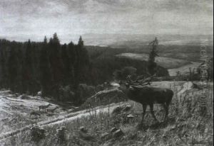 Brunftzeit Im Teutoburger Wald