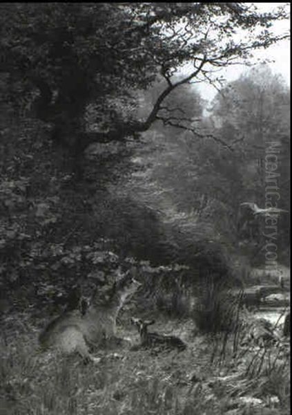 Doe And Fawns In Forest - view 1