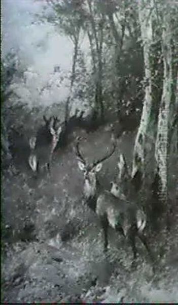 Hirsch Und Kahlwild - view 1