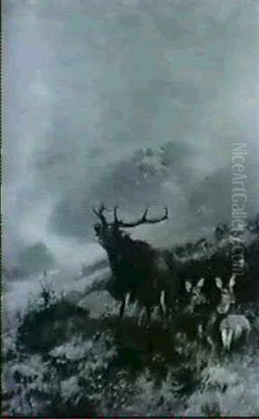 Rohrender Hirsch An Einem Berghang - view 1