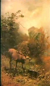 Rohrender Hirsch In Seitlicher Ansicht Vor Einem Fels Und   Herbstlichem Geast Auf Einer Waldlichtung