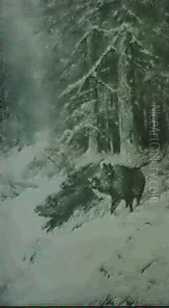 Wildschweine - view 1