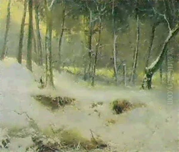 Winterlicher Wald - view 1
