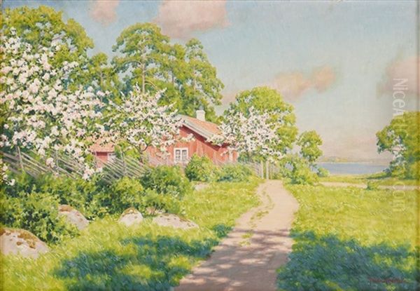 Forsommardag Med Blommande Frukttrad Vid Rod Stuga - view 1