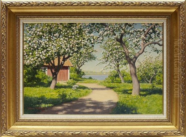 Landsvag Mellan Blommande Appeltrad - view 1