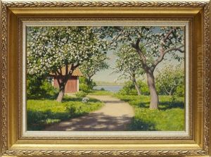 Landsvag Mellan Blommande Appeltrad