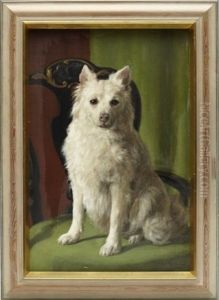 Hundportratt Hundportratt