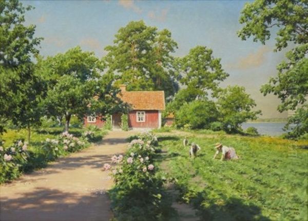 Sommarnoje I Tradgardslandet - view 1