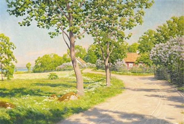 Byvag Med Hus Och Blommande Syrener - view 1