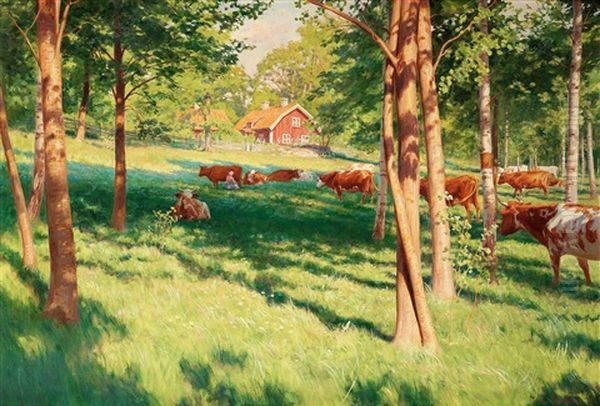 Motiv Fran Skedevid I Tjarstad - view 1