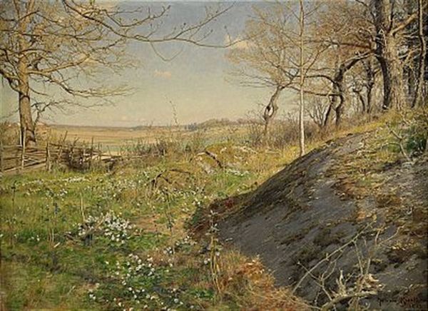 Solbelyst Skogsstig - view 1