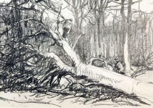 Foresters