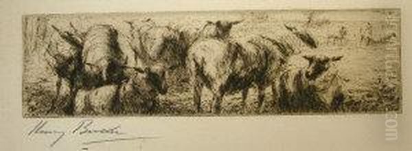 Sheep Grazing - view 1