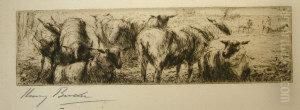 Sheep Grazing