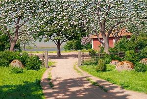 Tradgard Med Blommande Appeltrad