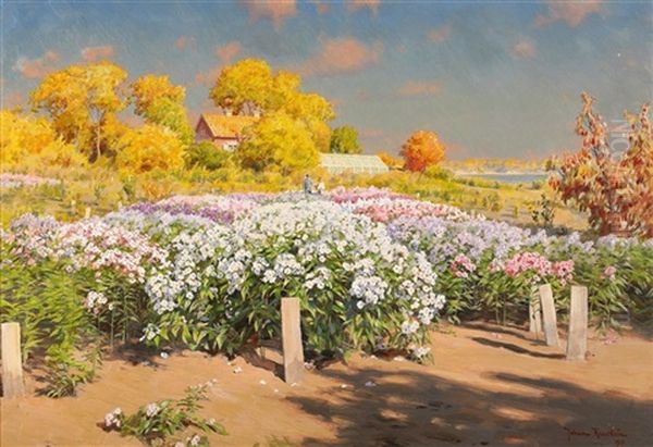 Hostlandskap Med Blommande Floxfalt - view 1