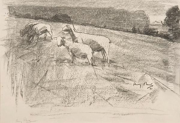Sheep Grazing - view 1