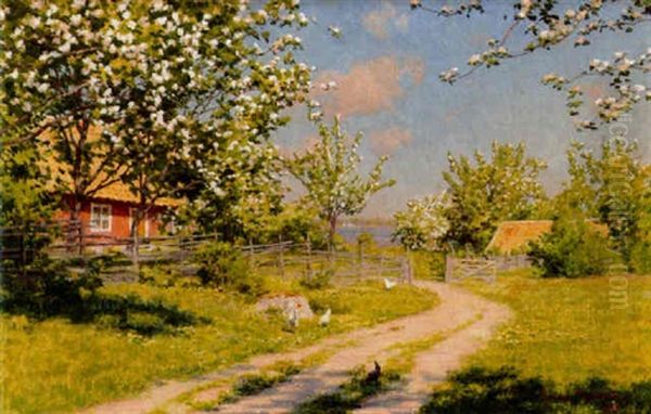 Sommarlandskap - view 1