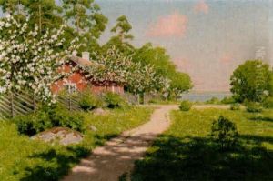 Sommarlandskap Sommarlandskap