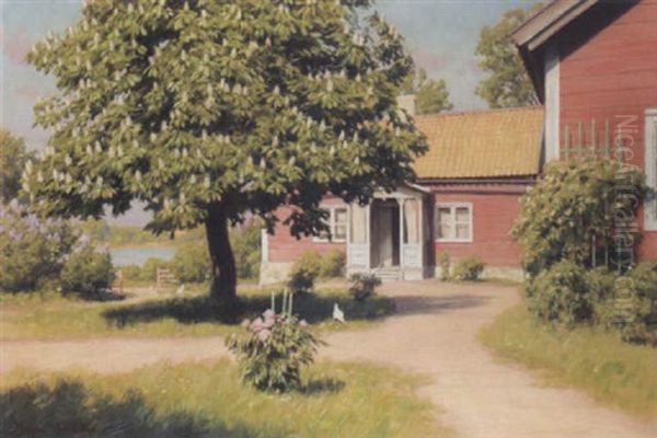 The Pink House - view 1