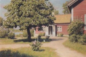 The Pink House