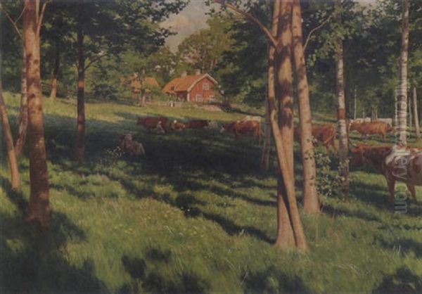 Kvallsmjolkning I Sommarhagen - view 1