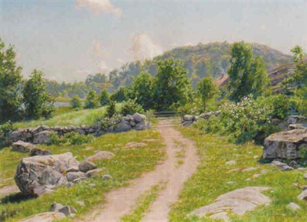Sommarlandskap - view 1
