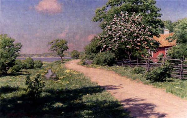 Forsommar - view 1