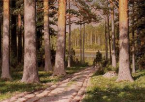 Solbelyst Sommarlandskap Med Skogsvag Och Insjo Solbelyst Sommarlandskap Med Skogsvag Och Insjo