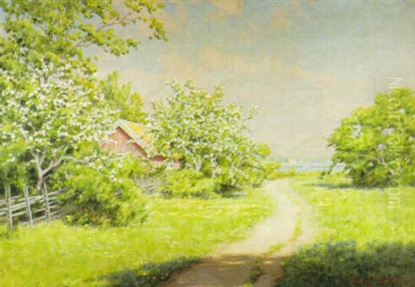 Blommande Frukttrad - view 1