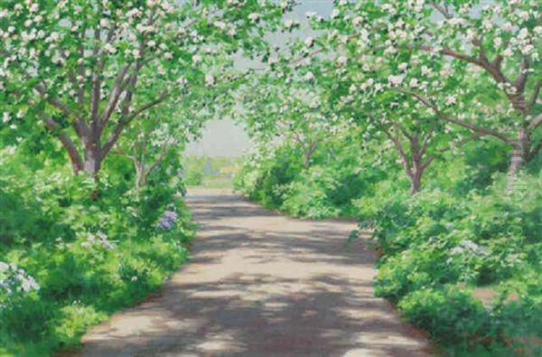 Sommarlandskap Med Blommande Appeltrad - view 1