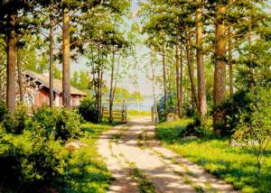 Solbelyst Skogsvag by Johan Fredrik Krouthen