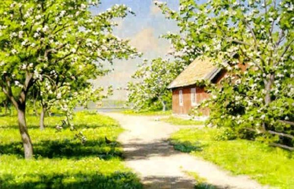 Blommande Appeltrad Och Pickande Hons - view 1
