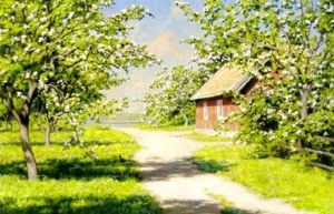 Blommande Appeltrad Och Pickande Hons