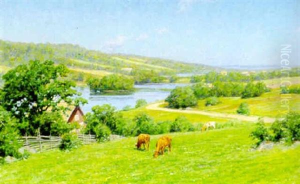 Insjolandskap Med Betande Kor - view 1