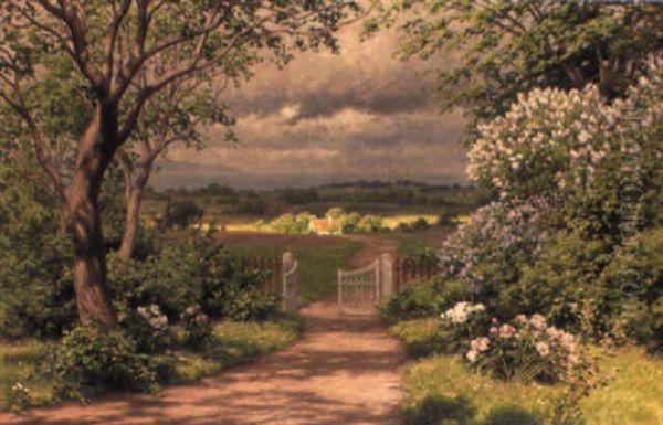 Forsommardag Med Blommande Syrener - view 1