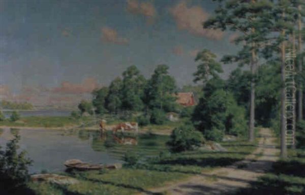 Sommarlandskap Fran Sommen - view 1