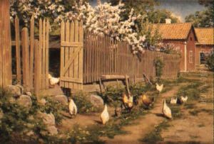 Var Pa Garden Med Elva Honor Och En Tupp