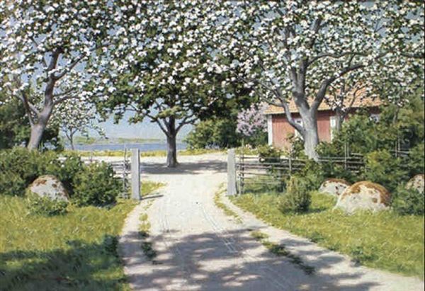 Sommarmotiv Med Blommande Frukttr,d Och R"d Stuga - view 1