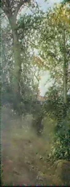 Var - view 1