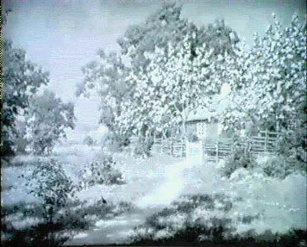 Sommarlandskap Med Blommande Frukttrad Vid Rod Stuga - view 1