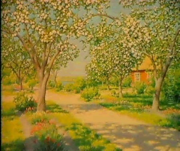 Forsommardag Med Blommande Frukttrad - view 1