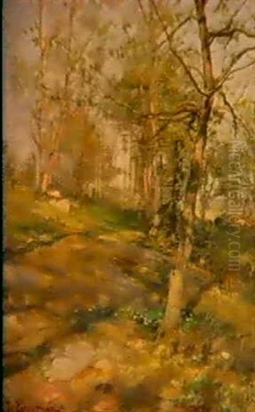Tidig Var - view 1