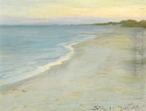Twilight At Skagen Beach - view 1