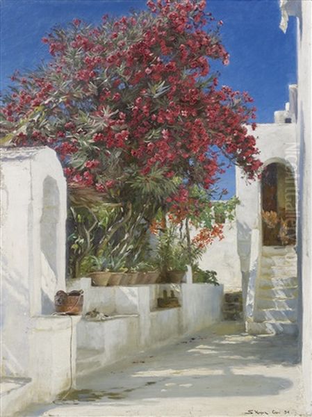 Oleanders In Bloom, Capri - view 1