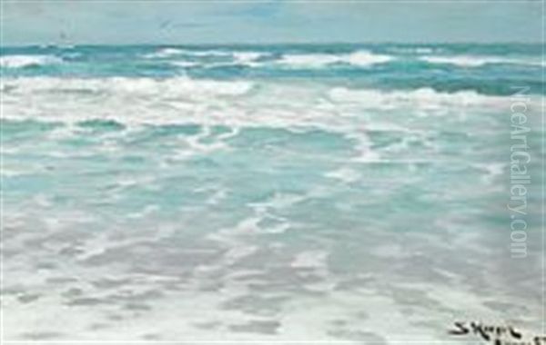 Seascape, Skagen Nordstrand - view 1