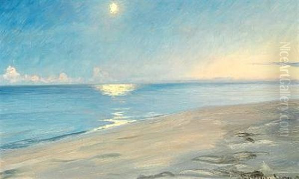 Moon Light At Skagen Beach - view 1